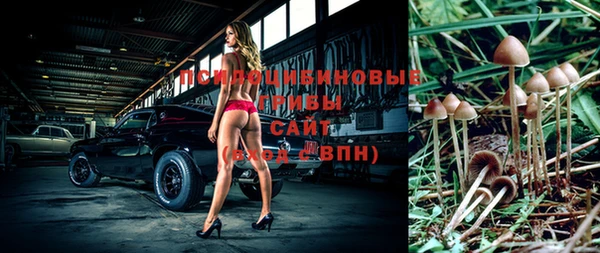 МДПВ Аркадак