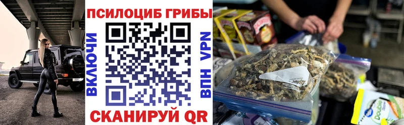 Галлюциногенные грибы Cubensis  Спас-Деменск 